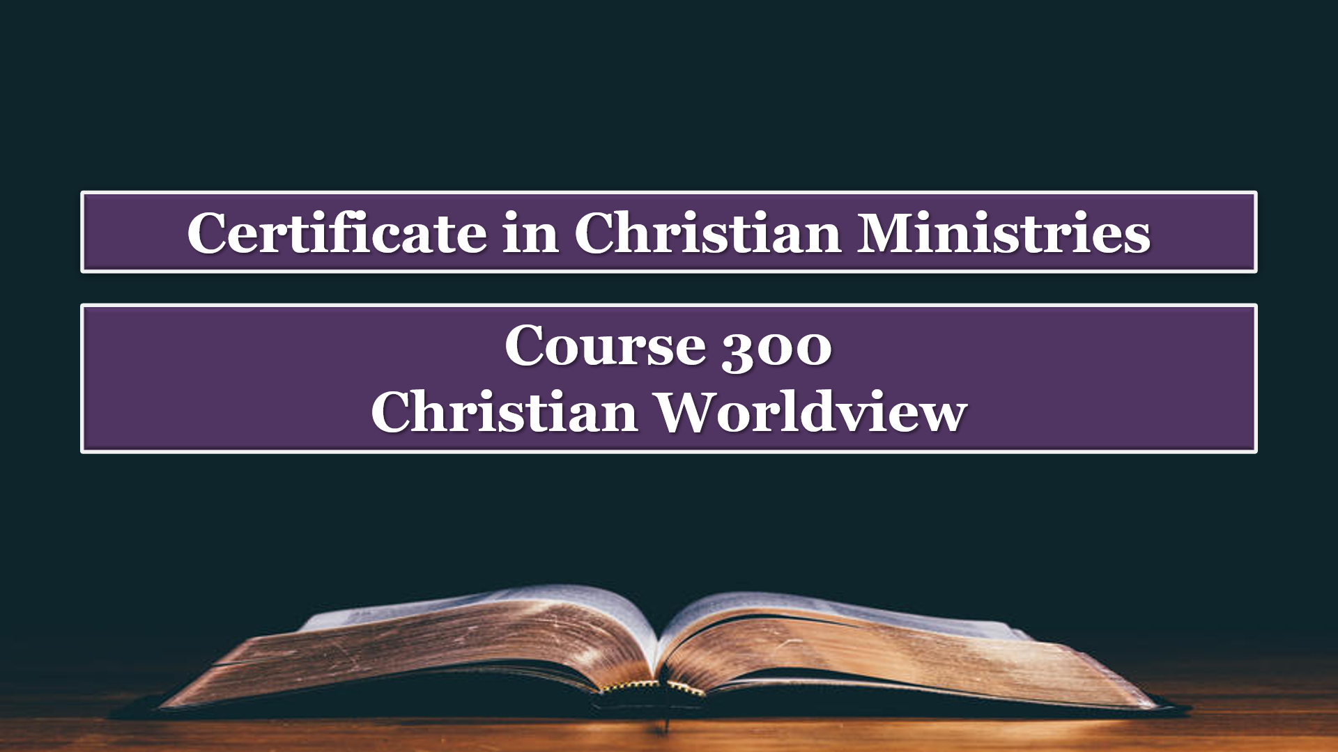 Course 300: Christian Worldview